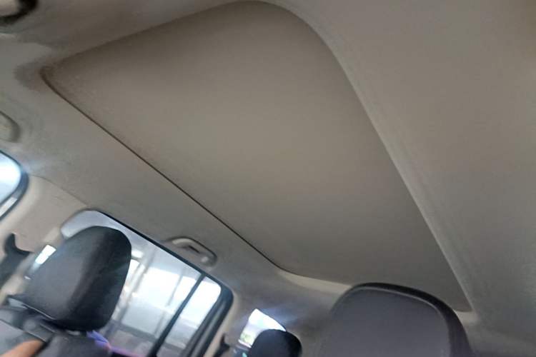 Used Haval Raptor New Energy 2023 Hi4 145 Explorer Edition Headliner