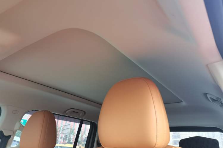 Used Haval Raptor New Energy 2023 Hi4 145 Explorer Edition Headliner