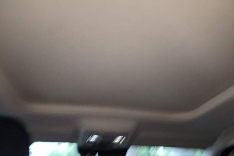 Used Haval Raptor New Energy 2023 Hi4 145 Explorer Edition Headliner