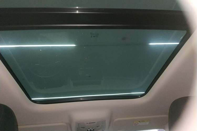 Used Haval Raptor New Energy 2023 Hi4 102 Exploration Edition Headliner