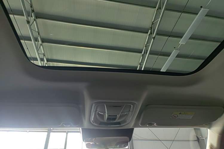 Used Haval Raptor New Energy 2023 Hi4 102 Exploration Edition Headliner