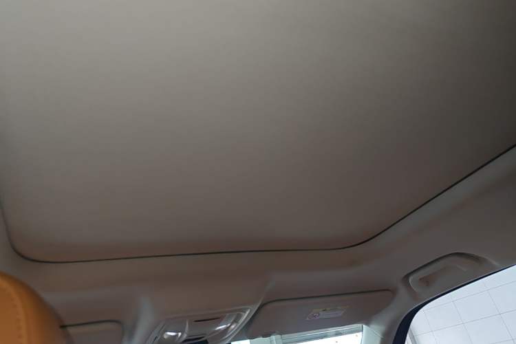 Used Haval Raptor New Energy 2023 Hi4 145 Explorer Edition Headliner