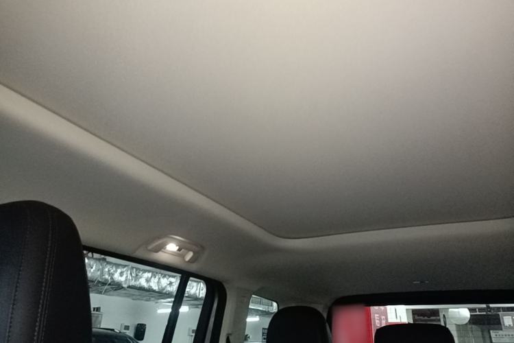 Used Haval Raptor New Energy 2023 Hi4 102 Exploration Edition Headliner