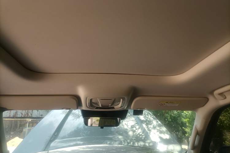 Used Haval Raptor New Energy 2023 Hi4 102 Exploration Edition Headliner