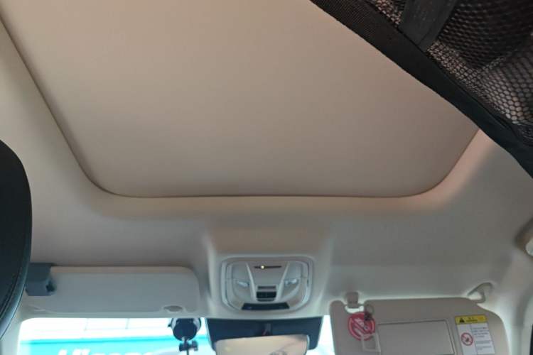 Used Haval Raptor New Energy 2023 Hi4 102 Exploration Edition Headliner
