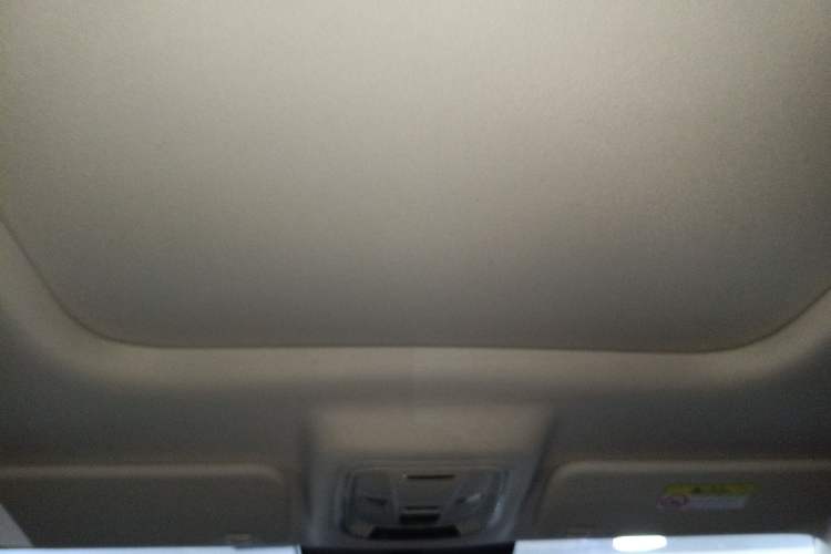 Used Haval Raptor New Energy 2023 Hi4 102 Exploration Edition Headliner