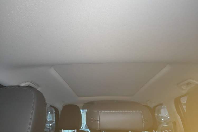 Used Haval Raptor New Energy 2023 Hi4 102 Exploration Edition Headliner