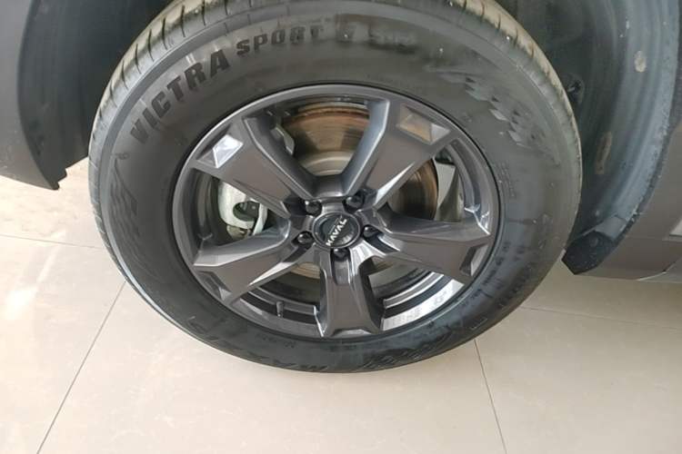 Used Haval Raptor New Energy 2023 Hi4 102 Exploration Edition Left Front Wheel Hub
