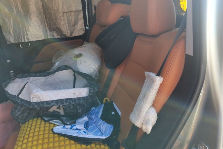 Used Haval Raptor New Energy 2023 Hi4 145 Explorer Edition Left Rear Seat