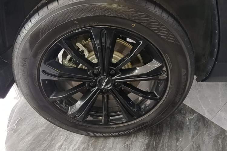 Used Haval Raptor New Energy 2023 Hi4 102 Exploration Edition Right Rear Wheel Hub