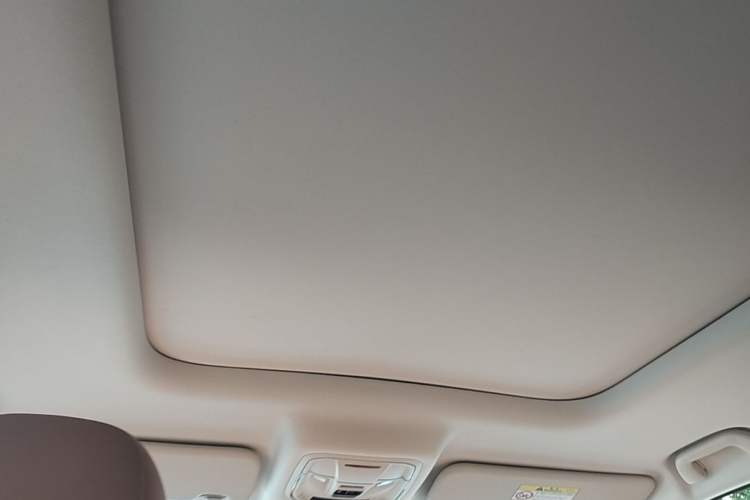 Used Haval Raptor New Energy 2023 Hi4 145 Explorer Edition Headliner