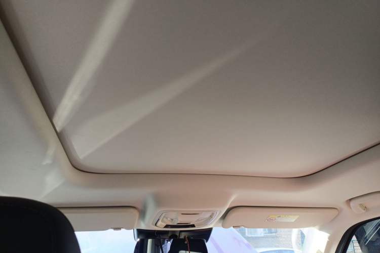 Used Haval Raptor New Energy 2023 Hi4 145 Explorer Edition Headliner