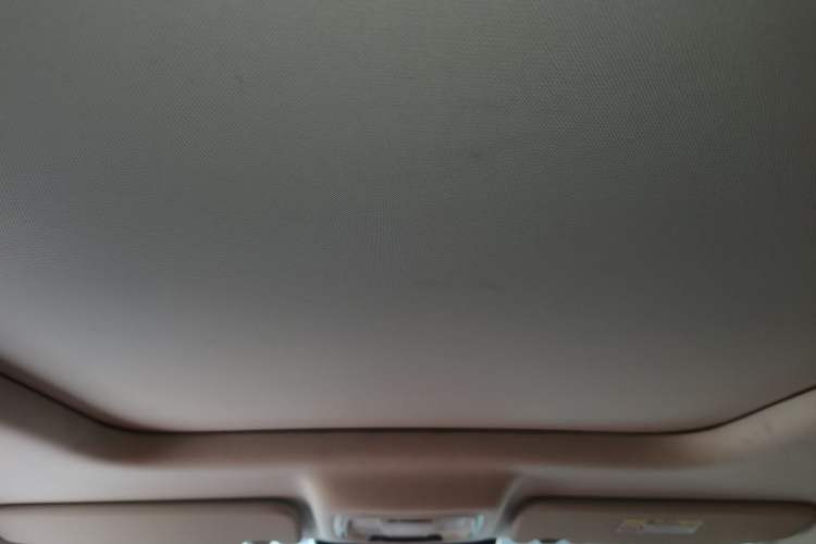 Used Haval Raptor New Energy 2023 Hi4 145 Explorer Edition Headliner
