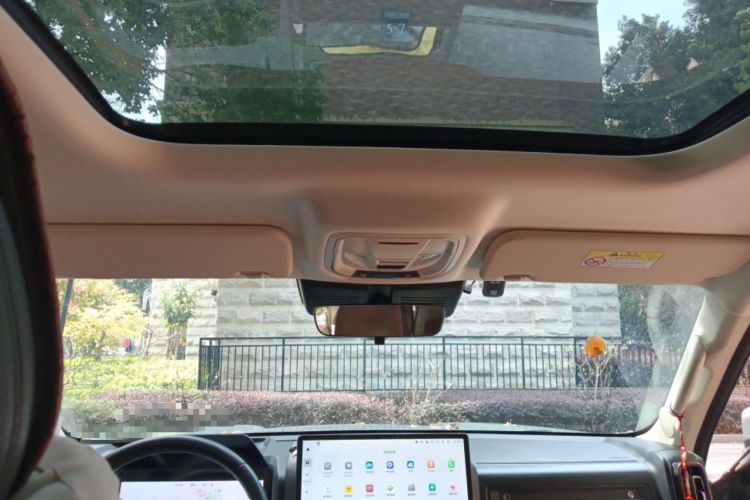 Used Haval Raptor New Energy 2023 Hi4 145 Explorer Edition Headliner