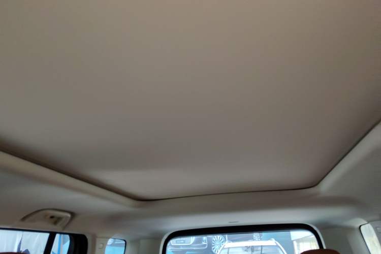 Used Haval Raptor New Energy 2023 Hi4 145 Explorer Edition Headliner