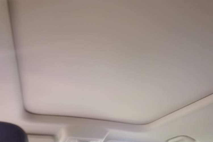 Used Haval Raptor New Energy 2023 Hi4 102 Exploration Edition Headliner