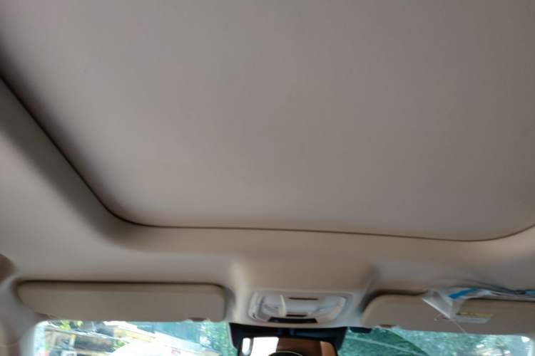 Used Haval Raptor New Energy 2023 Hi4 145 Explorer Edition Headliner
