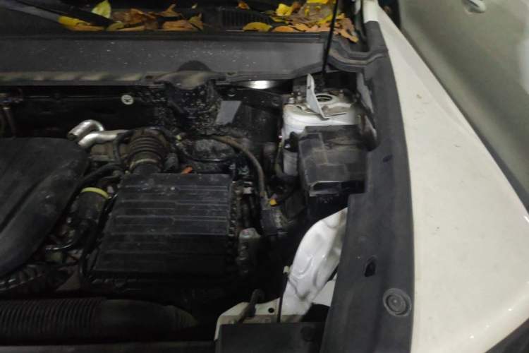 Used Haval Raptor New Energy 2023 Hi4 102 Exploration Edition Engine Bay Left