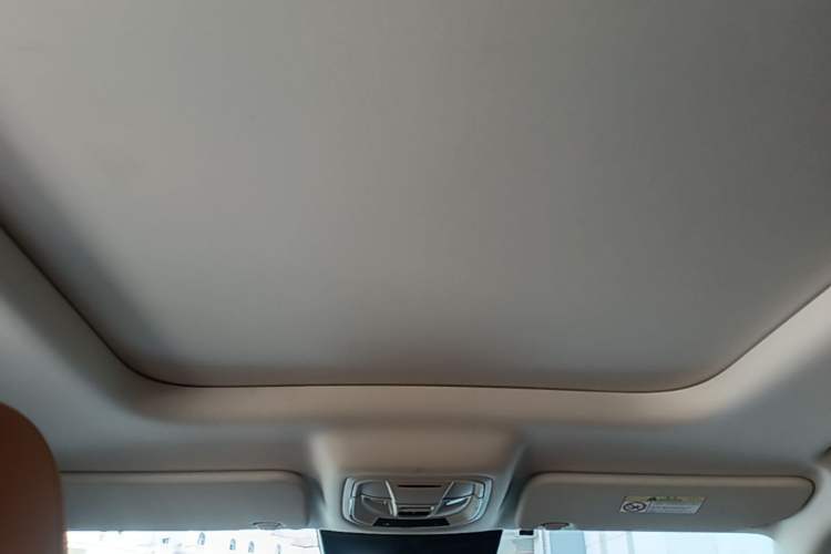 Used Haval Raptor New Energy 2023 Hi4 145 Explorer Edition Headliner
