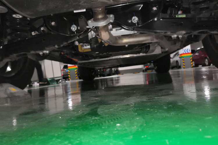 Used Haval Raptor New Energy 2024 Hi4 145 Cross-Over Edition Chassis Rear