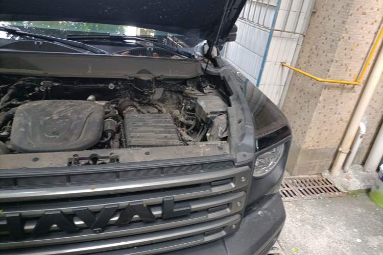 Used Haval Raptor New Energy 2024 Hi4 145 Pro Engine Bay Left