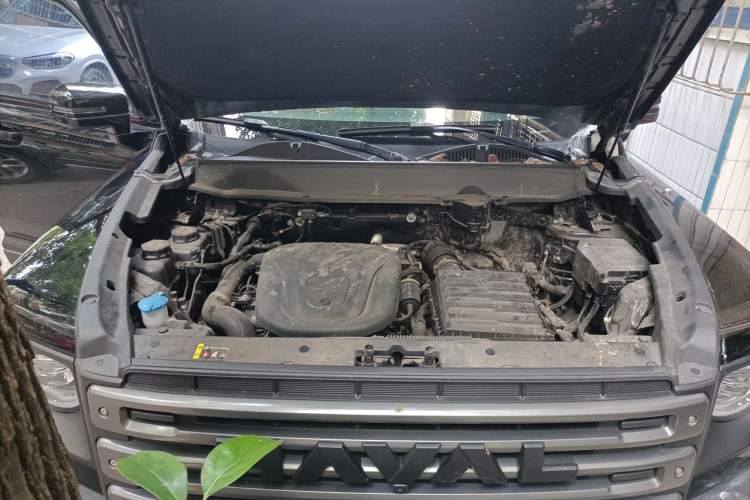 Used Haval Raptor New Energy 2024 Hi4 145 Pro Engine Bay Right
