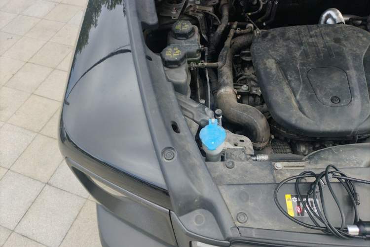 Used Haval Raptor New Energy 2024 Hi4 145 Cross-Over Edition Engine Bay Right