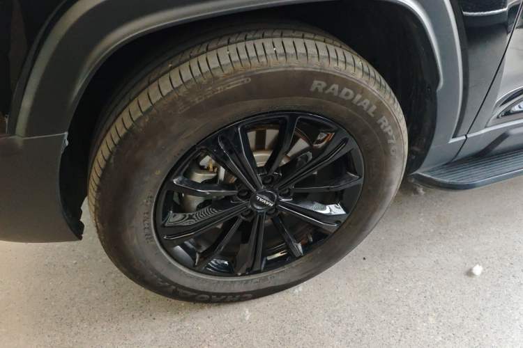 Used Haval Raptor New Energy 2024 Hi4 145 Pro Exterior 4
