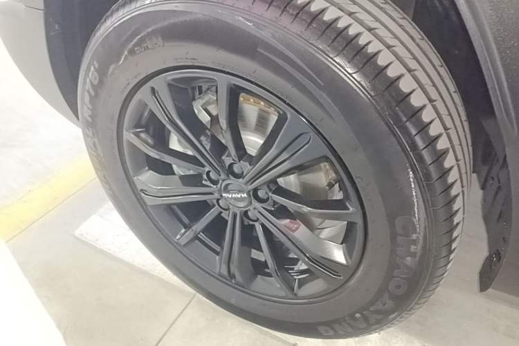 Used Haval Raptor New Energy 2024 Hi4 102 Pro Exterior 4