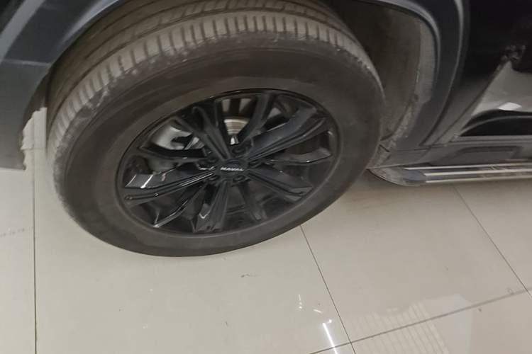 Used Haval Raptor New Energy 2024 Hi4 145 Cross-Over Edition Exterior 4