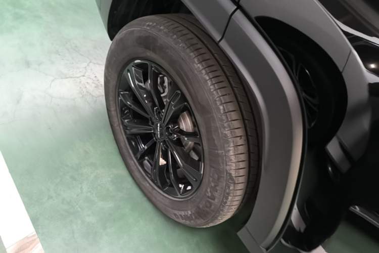 Used Haval Raptor New Energy 2024 Hi4 145 Cross-Over Edition Exterior 5