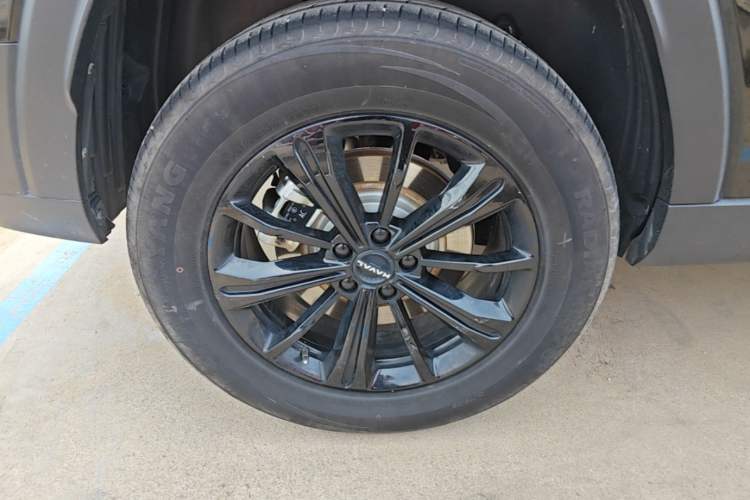 Used Haval Raptor New Energy 2024 Hi4 145 Pro Exterior 5