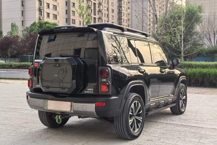 Used Haval Raptor New Energy 2024 Hi4 145 Cross-Over Edition Exterior 8