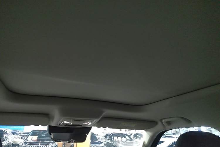 Used Haval Raptor New Energy 2024 Hi4 102 Pro Headliner