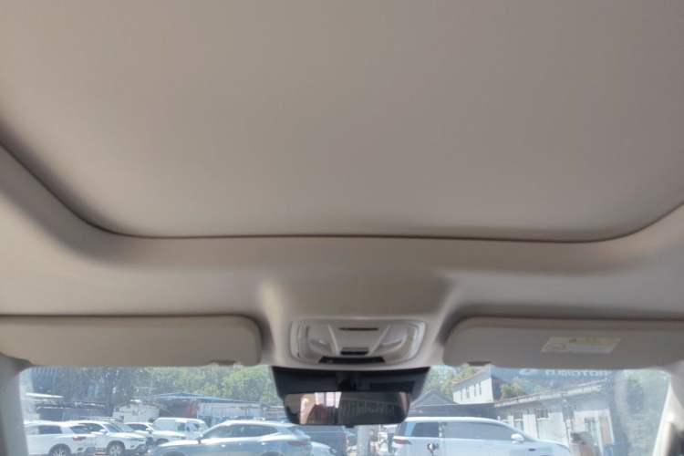 Used Haval Raptor New Energy 2024 Hi4 102 Pro Headliner