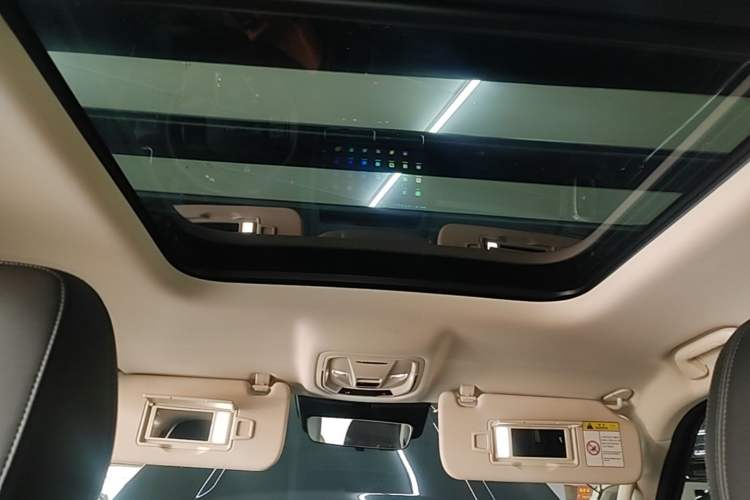 Used Haval Raptor New Energy 2024 Hi4 145 Pro Headliner