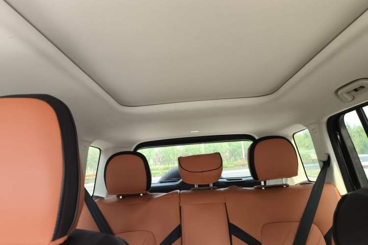 Used Haval Raptor New Energy 2024 Hi4 102 Air Headliner
