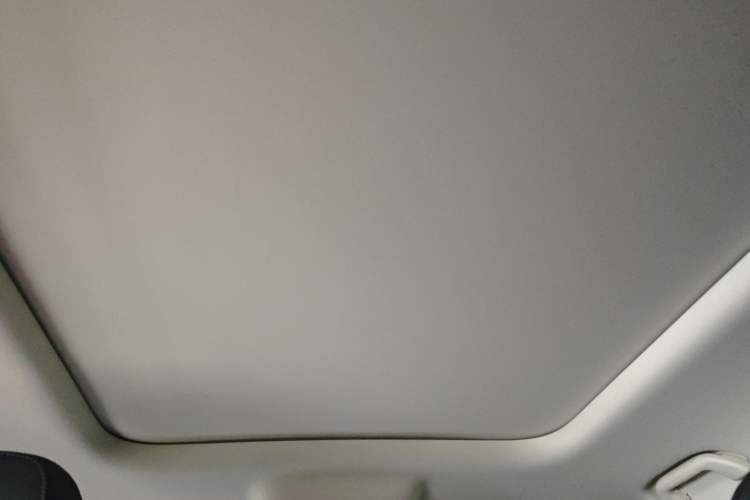 Used Haval Raptor New Energy 2024 Hi4 145 Pro Headliner