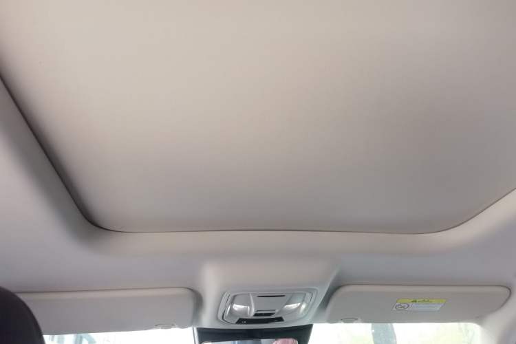 Used Haval Raptor New Energy 2024 Hi4 145 Pro Headliner