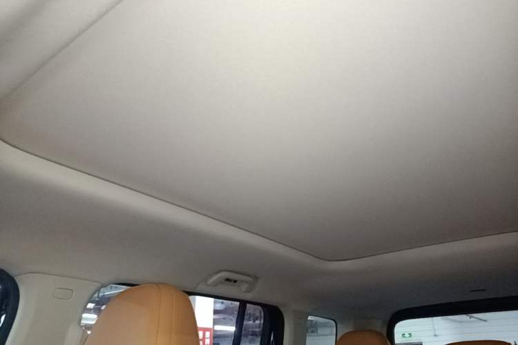 Used Haval Raptor New Energy 2024 Hi4 102 Pro Headliner