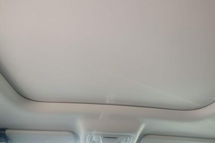 Used Haval Raptor New Energy 2024 Hi4 102 Pro Headliner