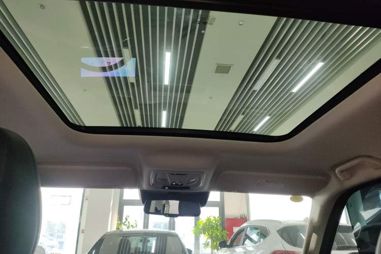 Used Haval Raptor New Energy 2024 Hi4 145 Cross-Over Edition Headliner