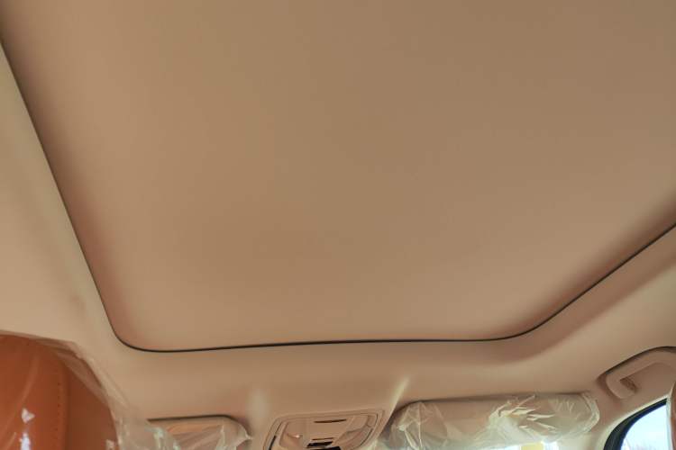 Used Haval Raptor New Energy 2024 Hi4 102 Pro Headliner