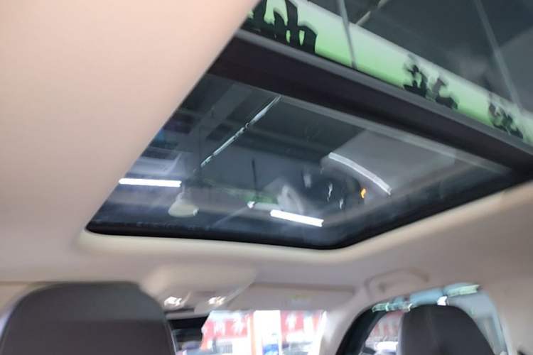 Used Haval Raptor New Energy 2024 Hi4 145 Pro Headliner