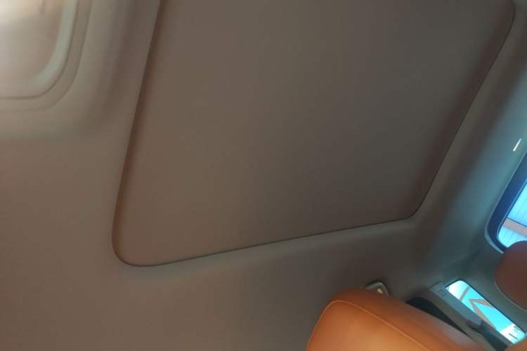Used Haval Raptor New Energy 2024 Hi4 102 Pro Headliner