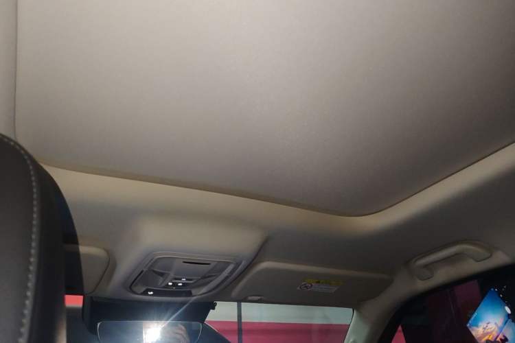 Used Haval Raptor New Energy 2024 Hi4 102 Pro Headliner