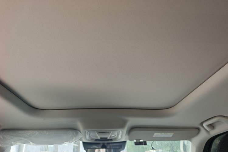Used Haval Raptor New Energy 2024 Hi4 102 Pro Headliner