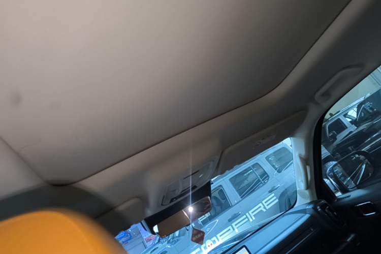Used Haval Raptor New Energy 2024 Hi4 102 Pro Headliner