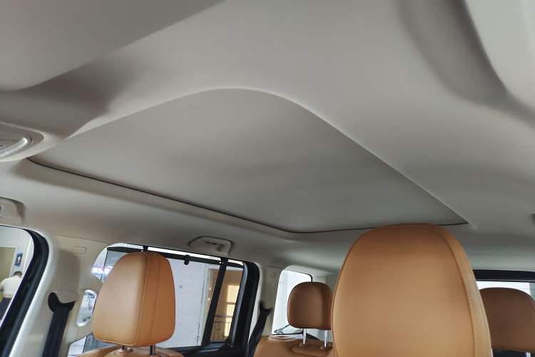 Used Haval Raptor New Energy 2024 Hi4 145 Cross-Over Edition Headliner