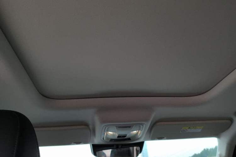 Used Haval Raptor New Energy 2024 Hi4 102 Pro Headliner